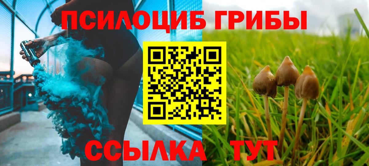 Галлюциногенные грибы Psilocybine cubensis Россошь