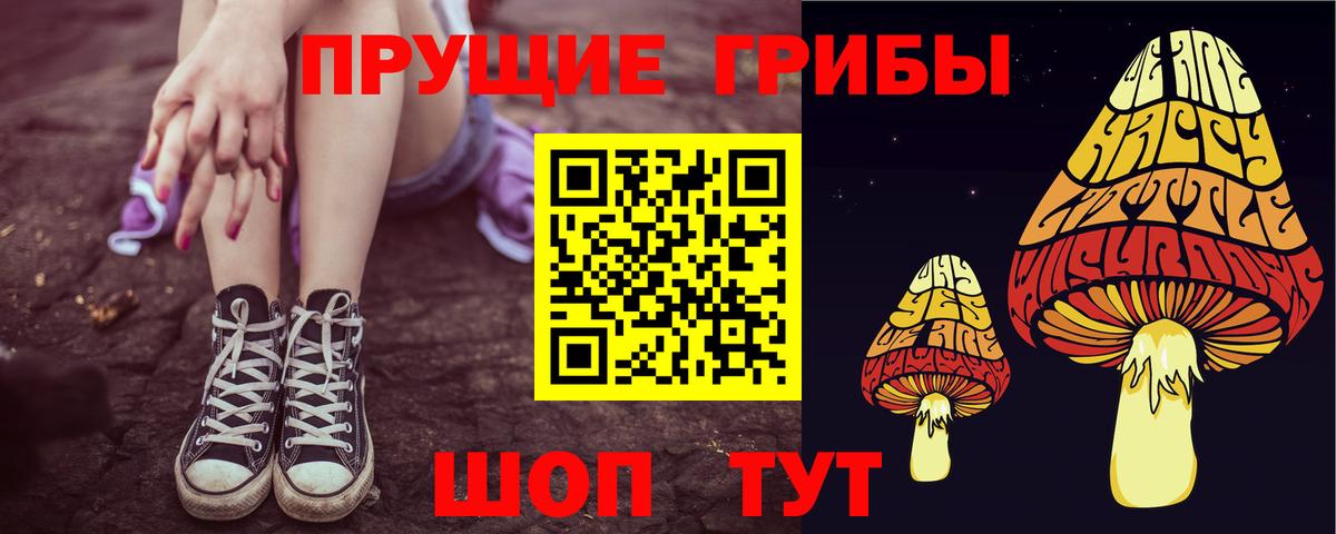 Галлюциногенные грибы GOLDEN TEACHER  Псилоцибиновые грибы прущие грибы  где можно купить наркотик  Россошь  Вход с VPN 